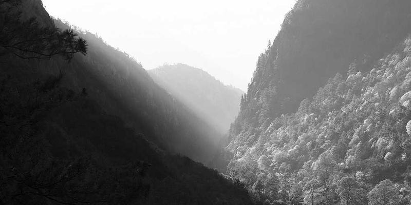 小鬼当家2：迷失纽约
